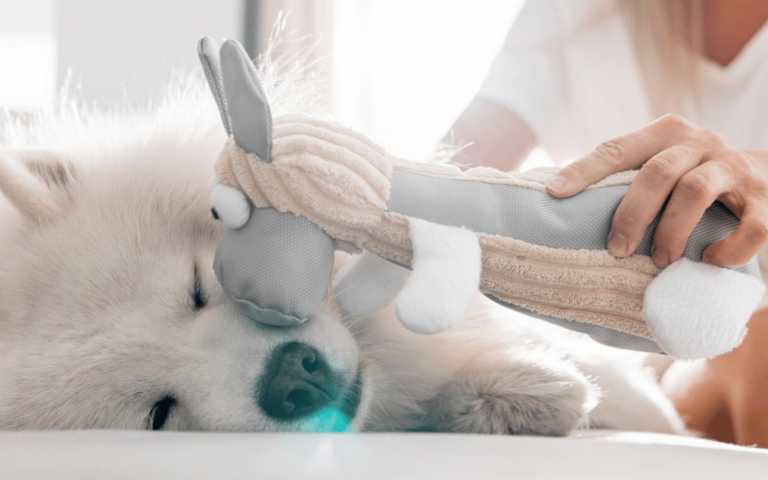 Crafting Joy for Your Canine Companion – Guide to Dog Yarn Handmade Toys