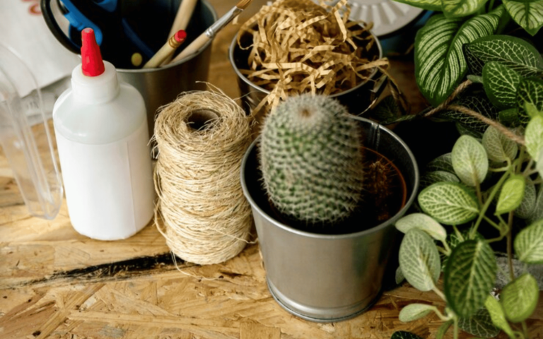 Plant Crafting – Creativity with New 2024 Nature’s DIY Projects