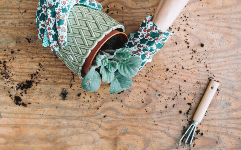 Our Guide To DIY Yarn Gardening Gloves